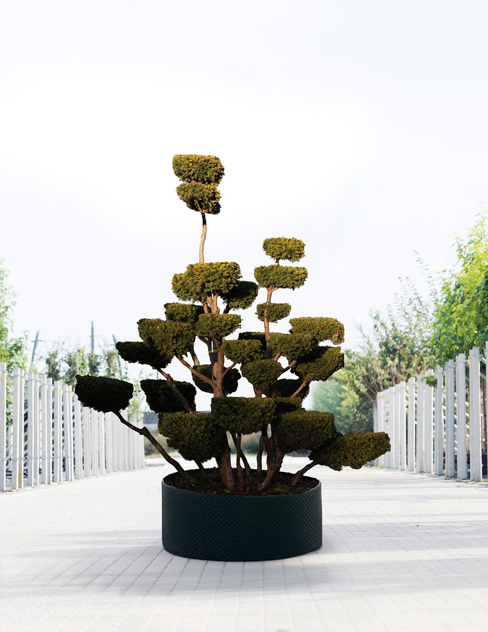 We Make Bomendael 34