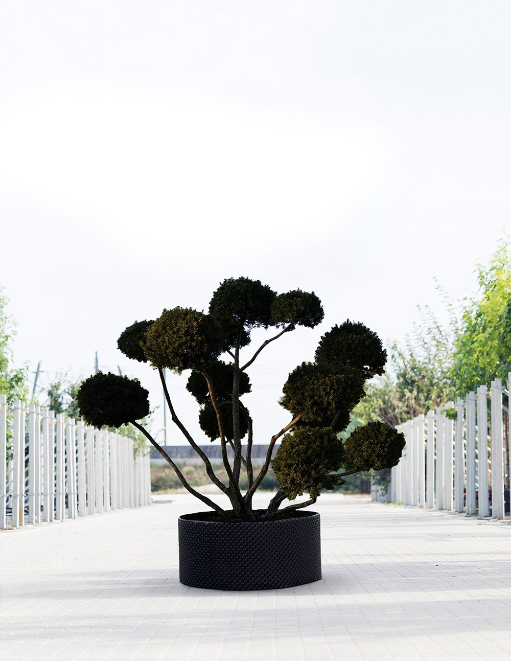 We Make Bomendael 39